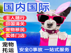 敦煌航空邮寄国际宠物托运 【国